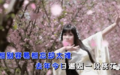 网红邱洪,从网红到创业明星的蜕变之路