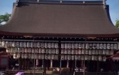 飞宇花园小姐姐,邂逅都市花园中的温柔魅力