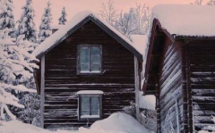 冬季下雪写真文案,银装素裹，浪漫时光瞬间捕捉